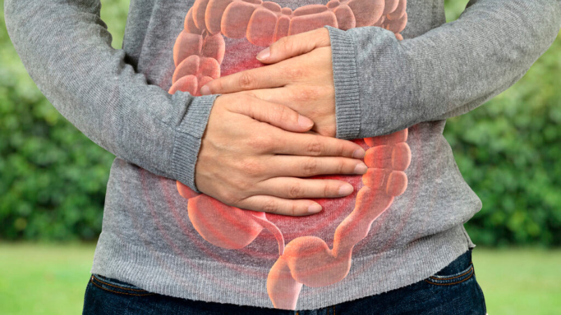 Gut Health and Obesity: The Natural Fix Shaping a Healthier Future